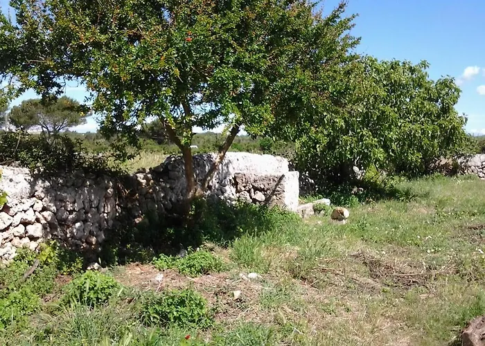 Casa di campagna Es Barranco *