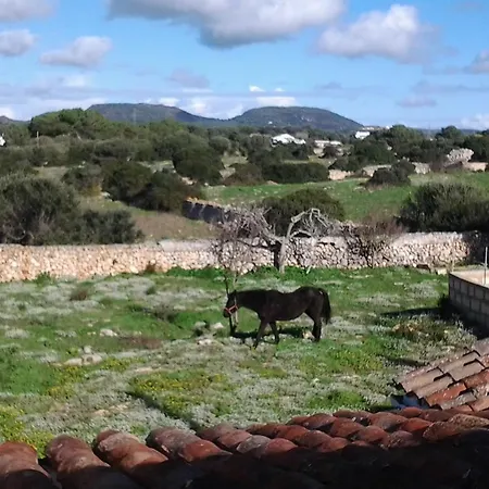Es Barranco *