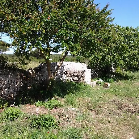 Εξοχικό σπίτι Es Barranco *